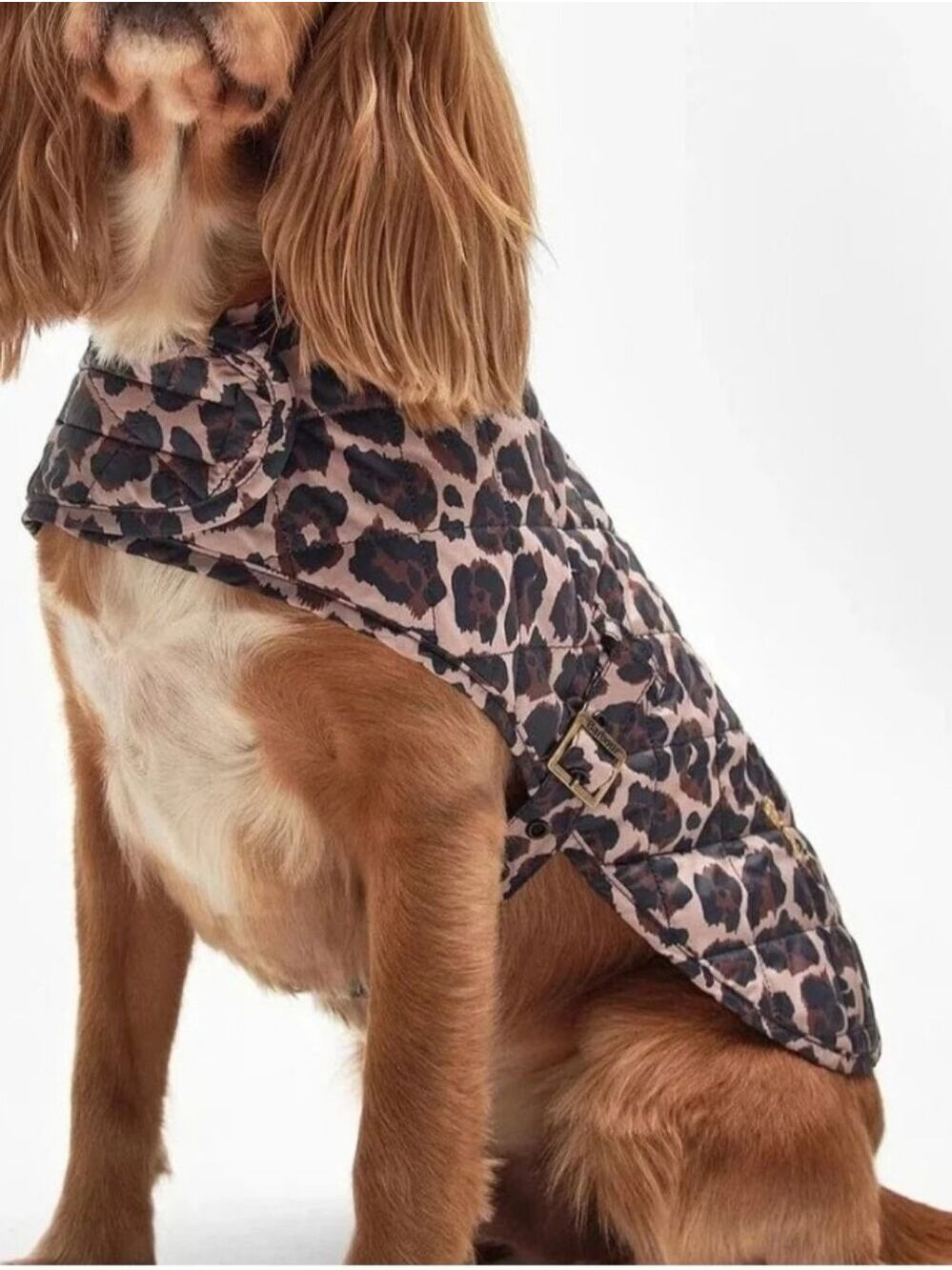 BARBOUR Boulevard Quilted Dog Coat in Dusty Pecan Jaguar Print Size Medium